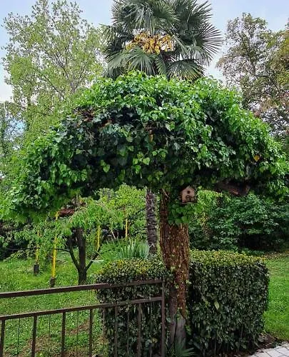 Sanja, - Opatija 3*
